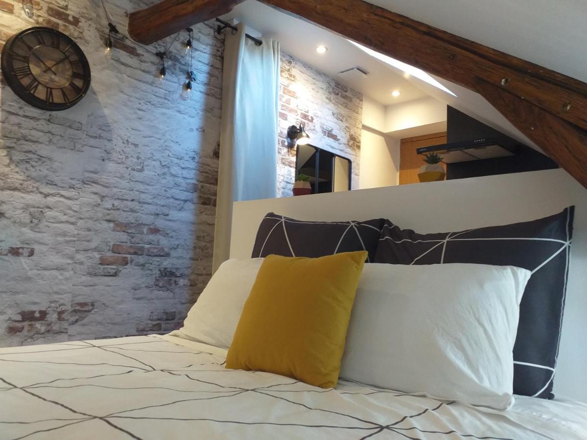Les Volets Bleus - Deux Appartements Et Un Studio, Jardin Bourges Bagian luar foto