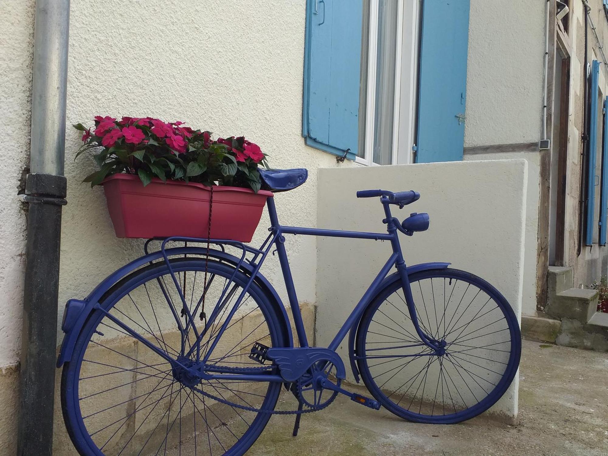 Les Volets Bleus - Deux Appartements Et Un Studio, Jardin Bourges Ruang foto