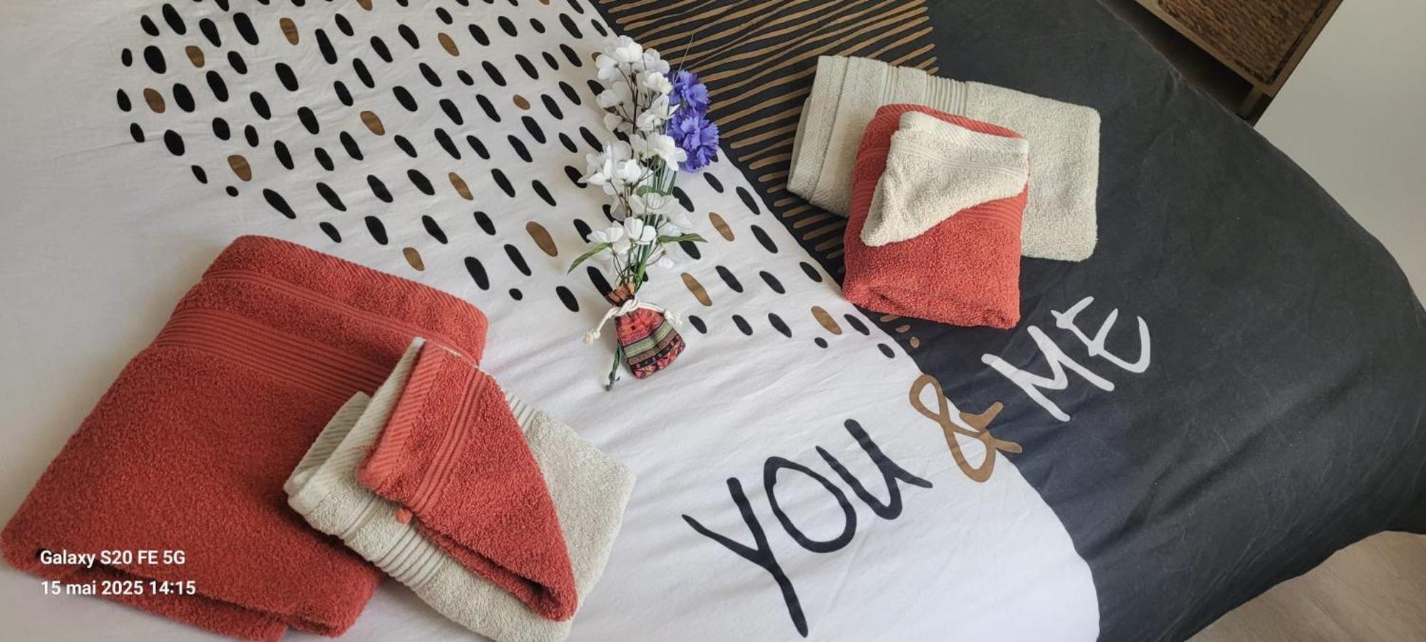 Les Volets Bleus - Deux Appartements Et Un Studio, Jardin Bourges Bagian luar foto